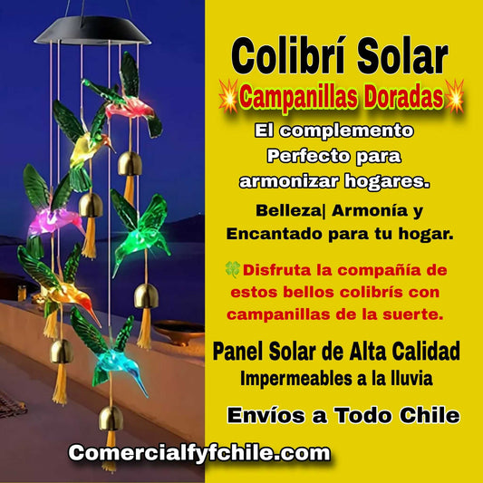 Significado del Colibrí en lo Espiritual