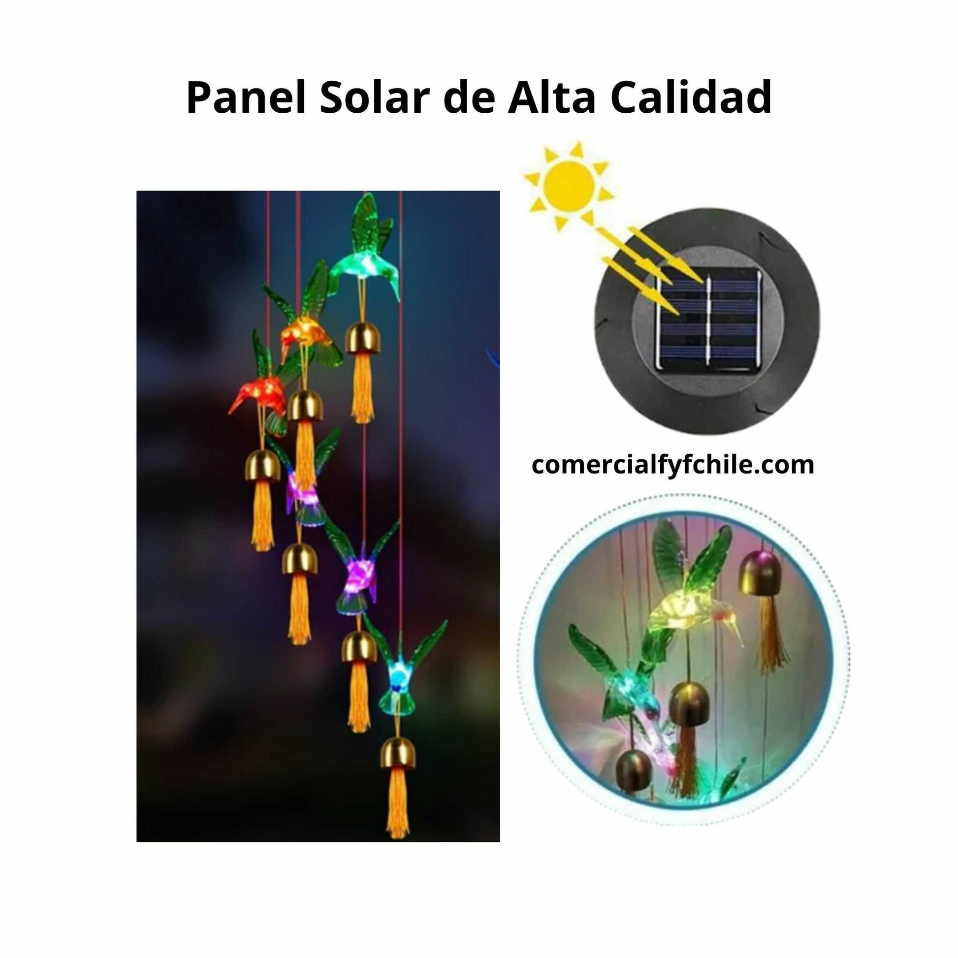 colibri solar que cambia de colores al anochecer